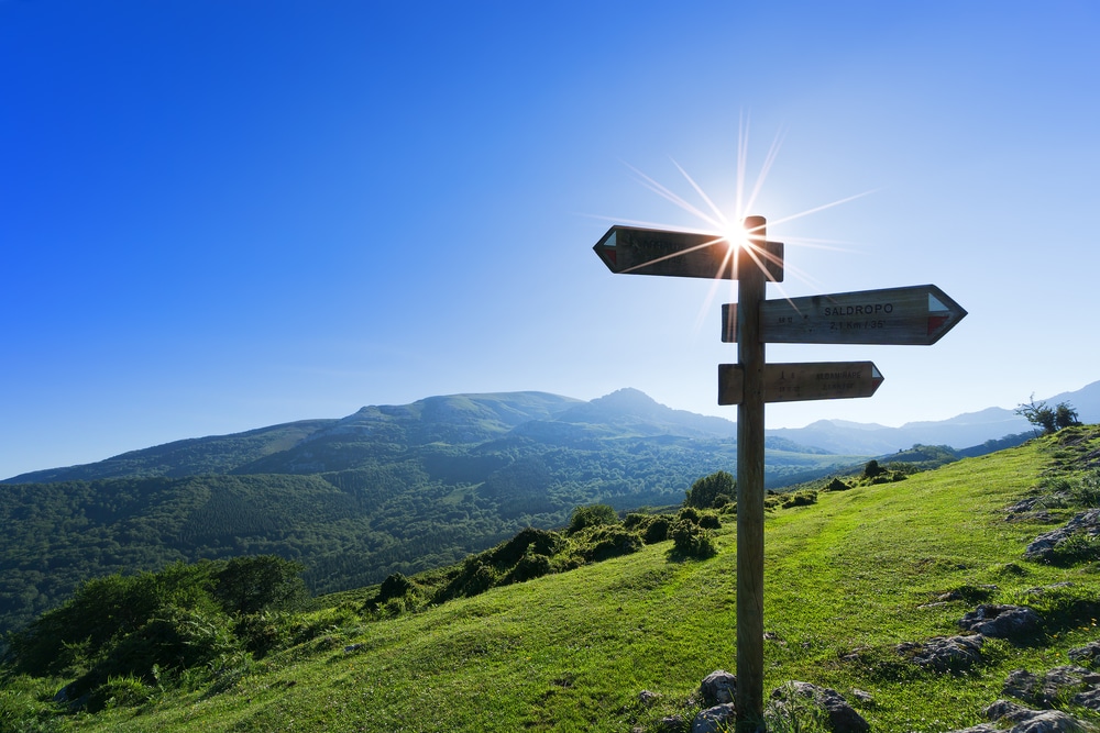 Signpost on a hill